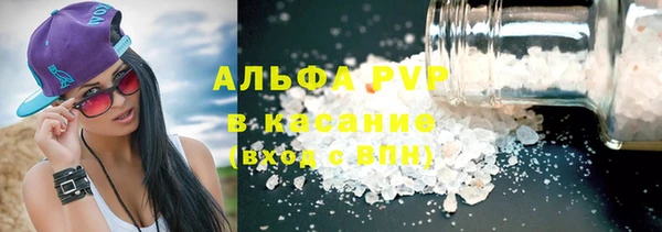 стаф Новодвинск