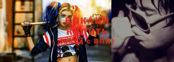 стаф Новодвинск