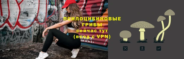 2c-b Няндома