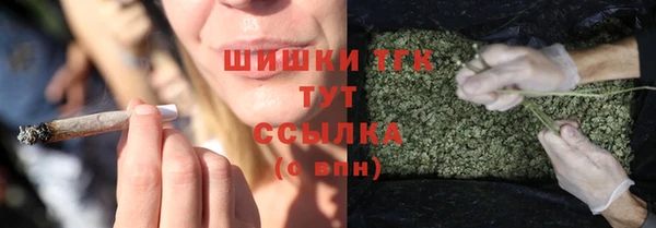 мяу мяу мука Нягань