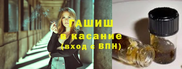 стаф Новодвинск