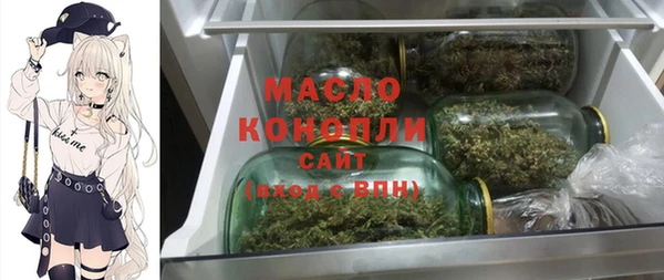 мдпв Осташков