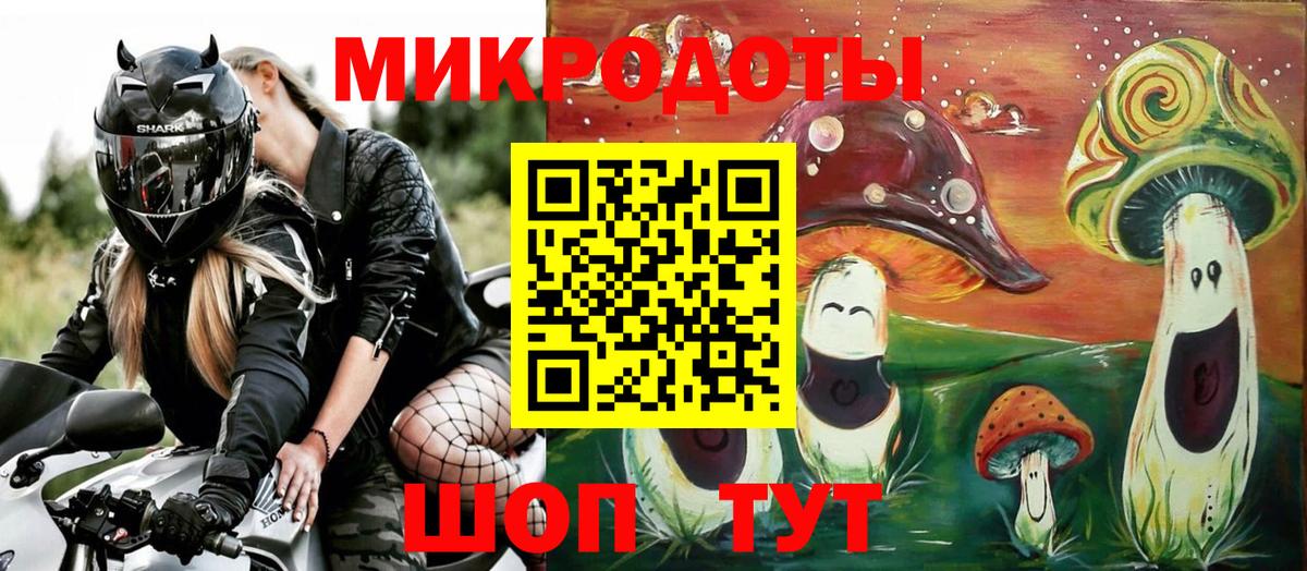 Псилоцибиновые грибы Psilocybe  Галлюциногенные грибы прущие грибы  Отрадное  Вход с VPN 